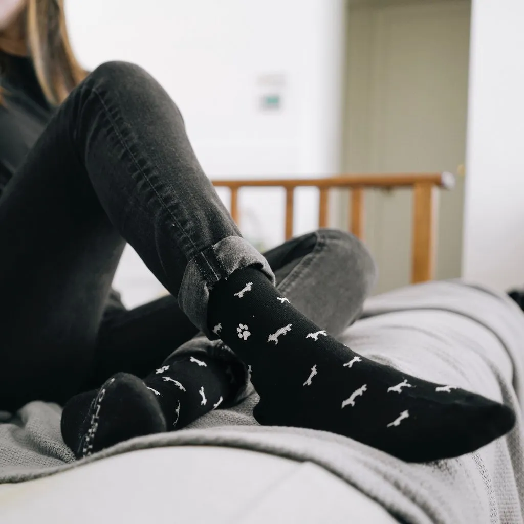 Socks That Save Dogs